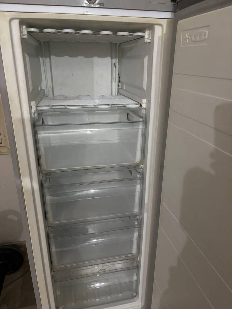 vertical freezer 1