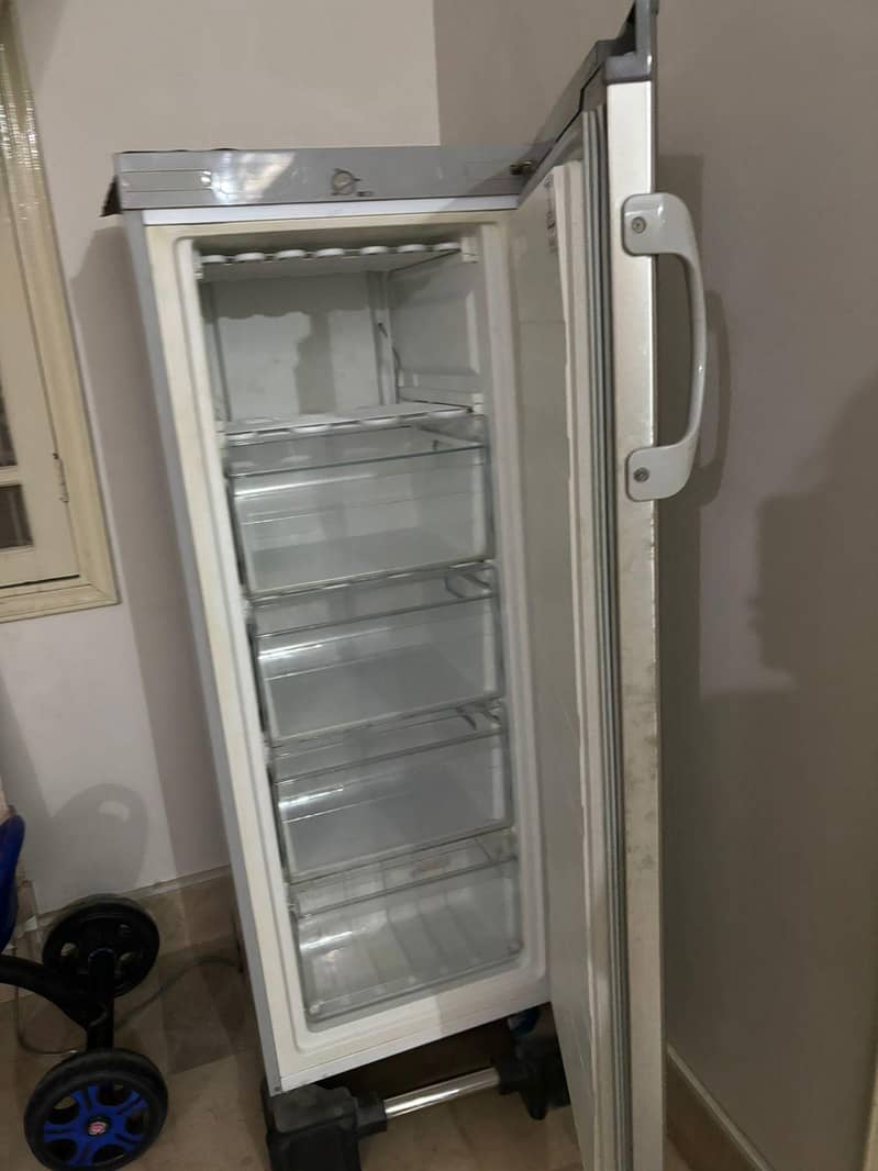 vertical freezer 2