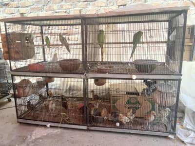 Parrots cage 2 Flore 5 foot length 4.5 hight
