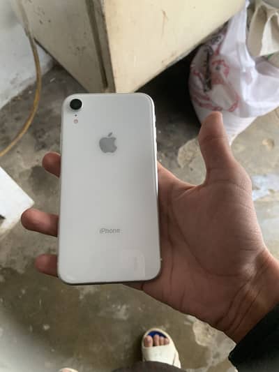 Iphone xr 10/10