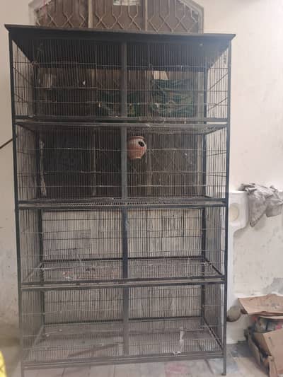 Large Iron Bird Cage / Breeding Cage (Multi-Section)