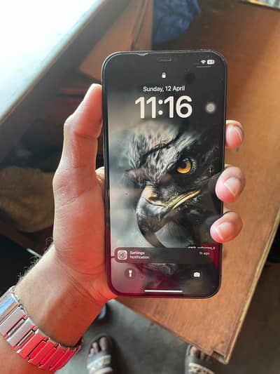 iphone 12 pro max all ok