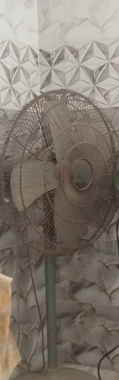 PAK FAN  PEDESTAL A. C  contact 0307.36. 34.8. 77