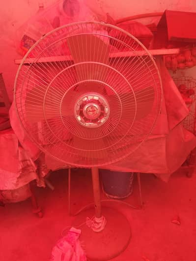 Bright star 2 pedestal fan