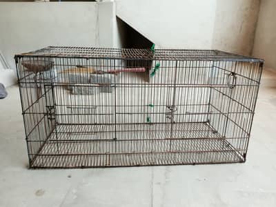 cage for sale