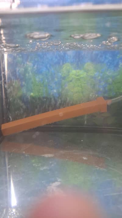 small aquarium for sale either thick glass and airfilter
