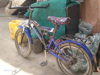 my title is selling bicycle