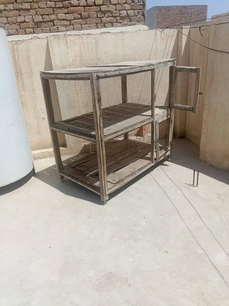 cages 1