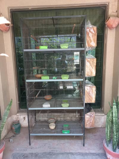 Love bird and budgries cage 1.5 by 3 feet height 6.5 feet New like
