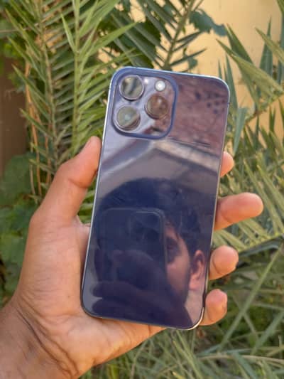 14promax Dual pta 256gb