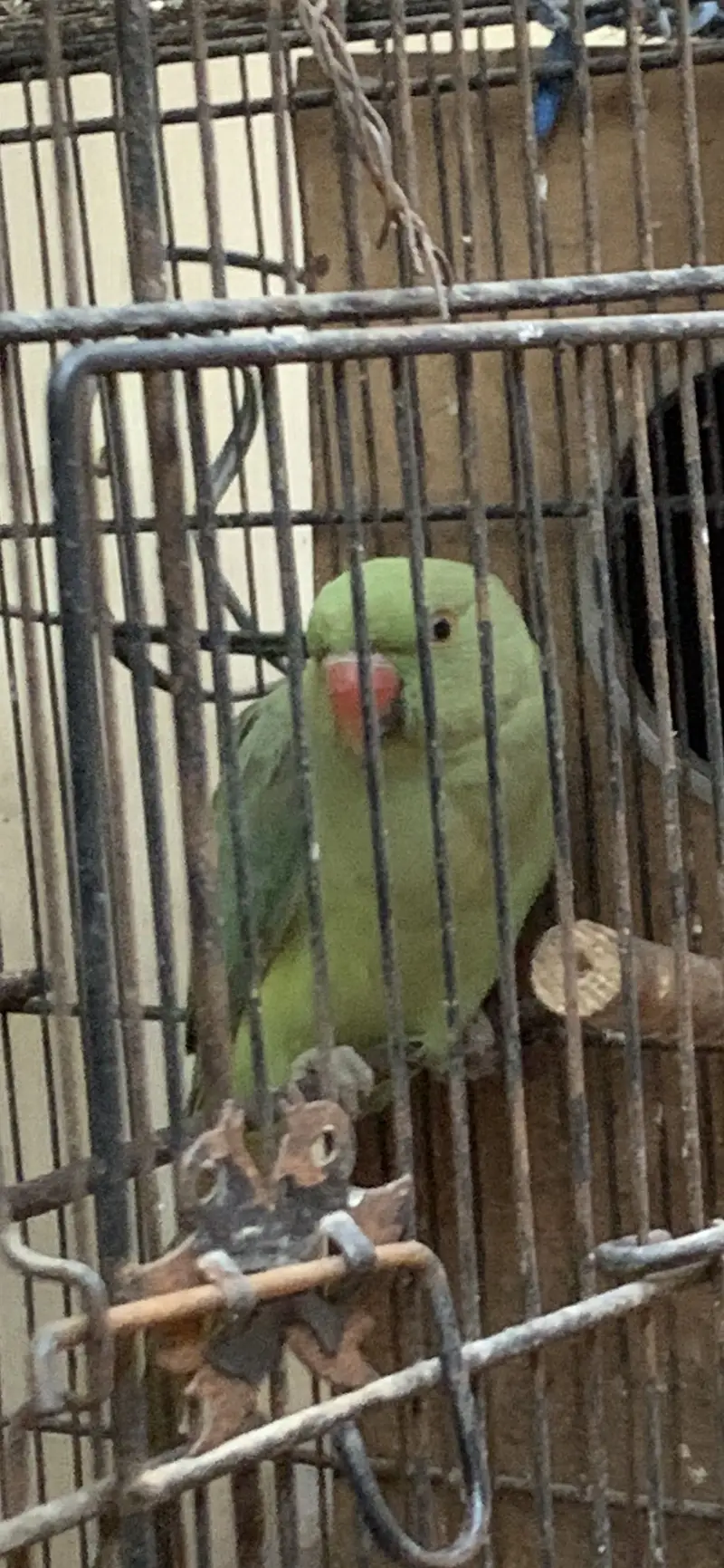 For sale
