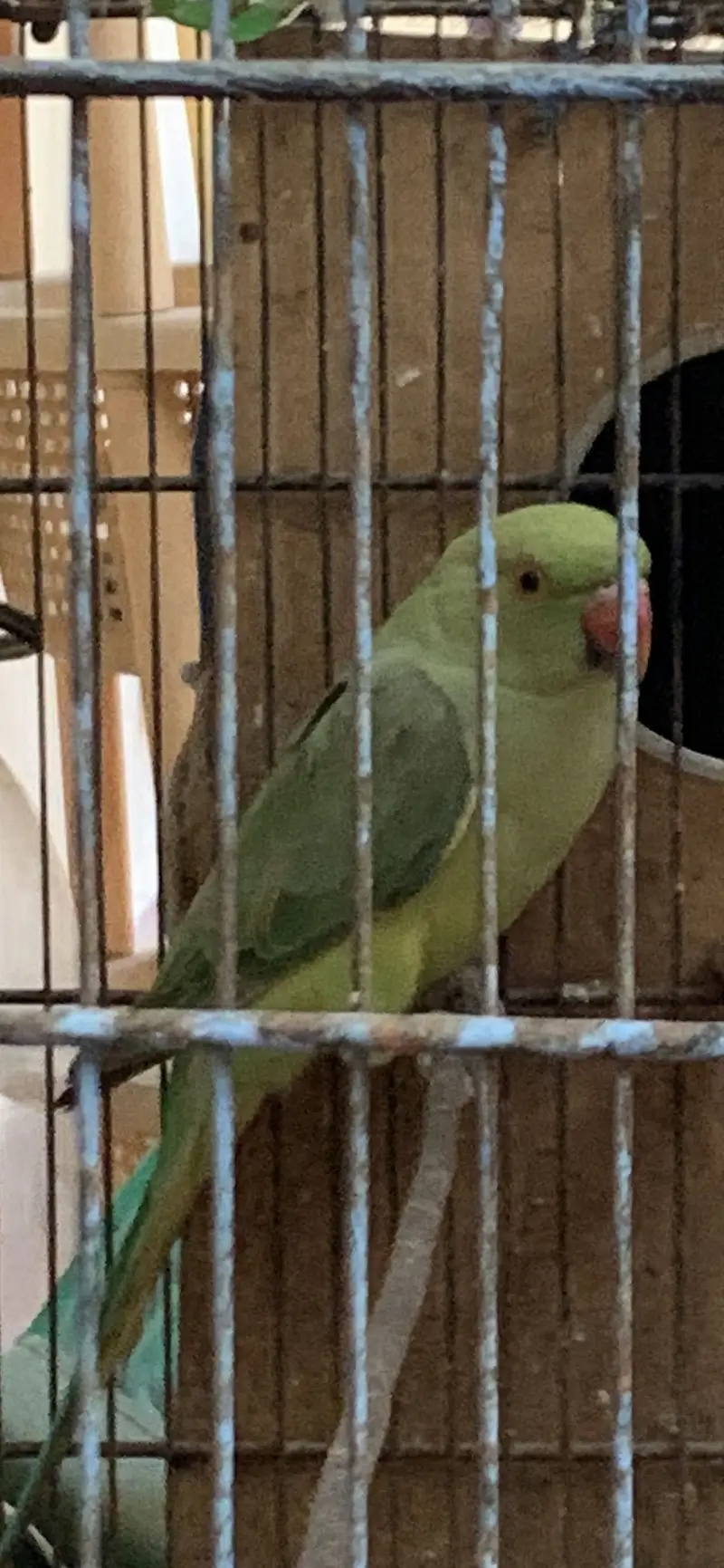For sale — photo 2