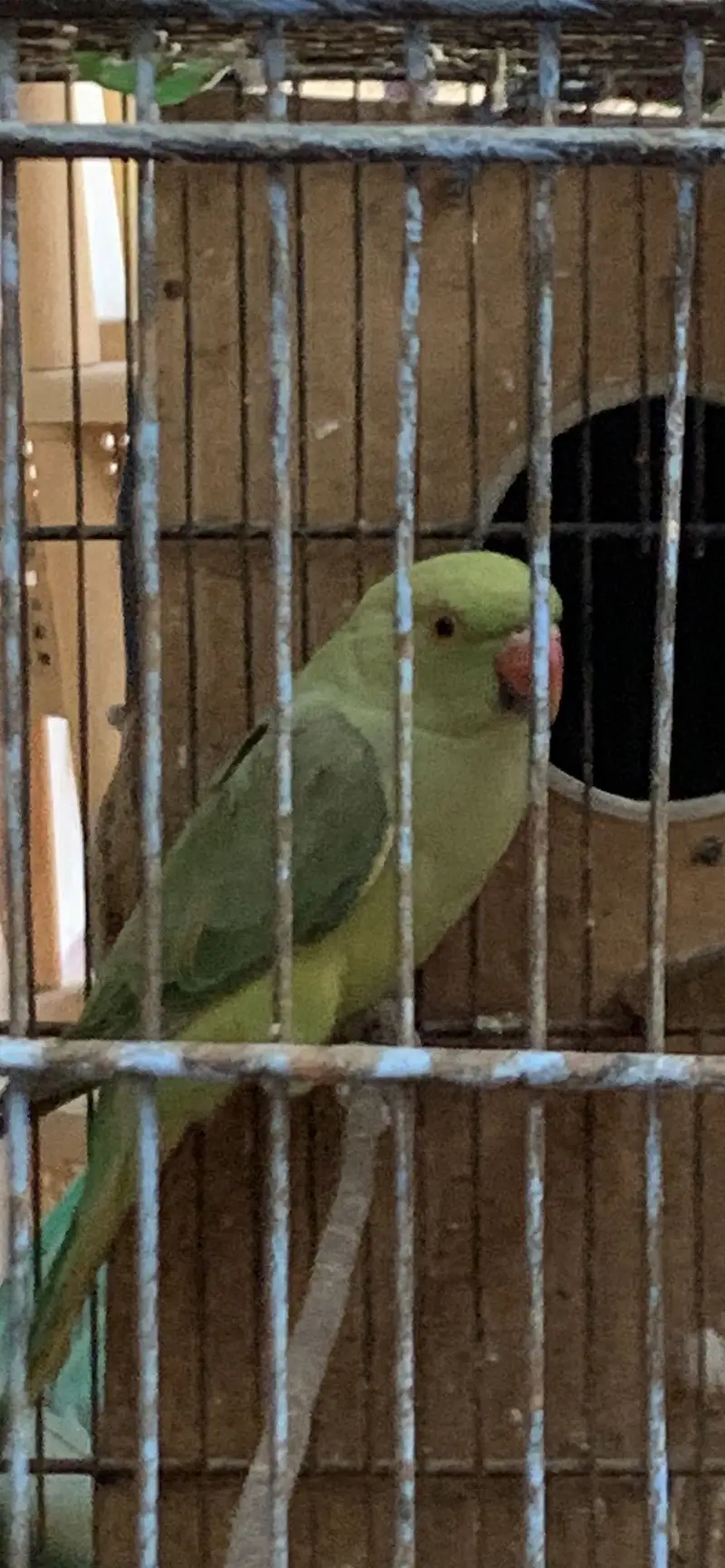 For sale — photo 3