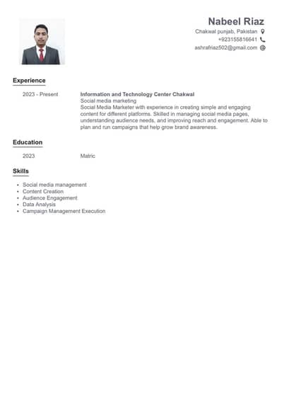 UK professional CV maker