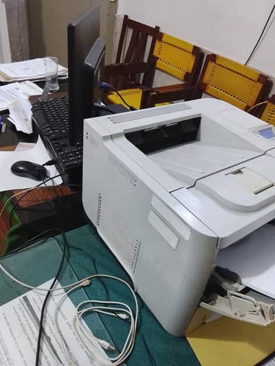 required female tutor