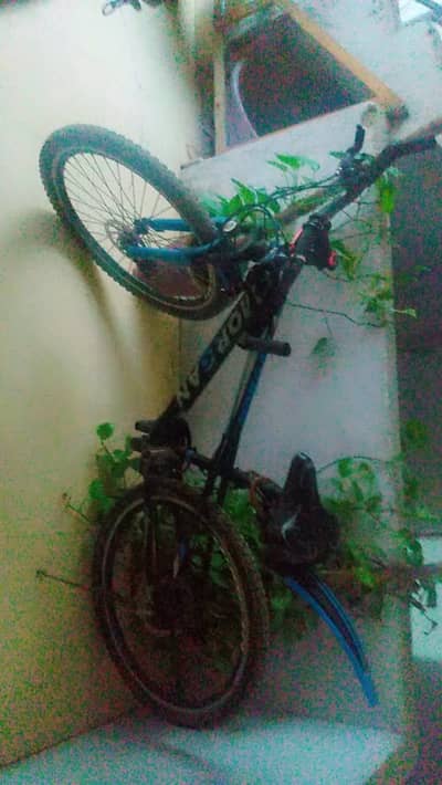 Super Morgan Imported Bicycle