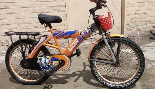 cycle for 8 to 14 Years