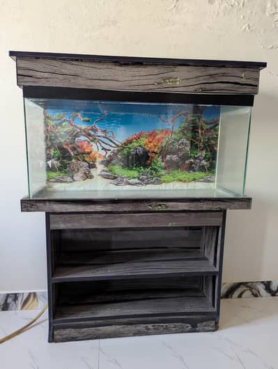 Aquarium + Wooden Rack