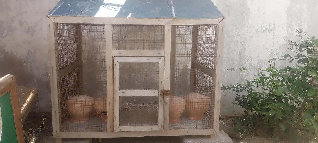 LARGE CAGE