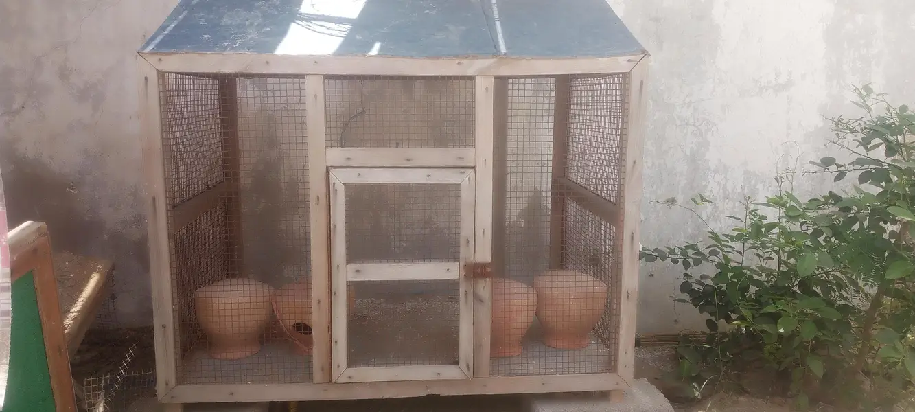 LARGE CAGE — photo 2