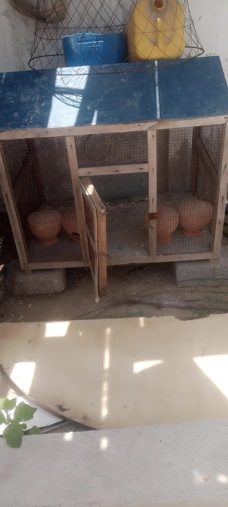 LARGE CAGE — photo 3