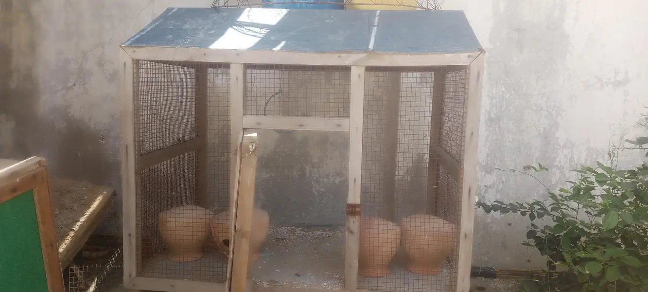 LARGE CAGE — photo 5