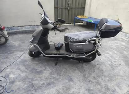 any Details WhatsApp