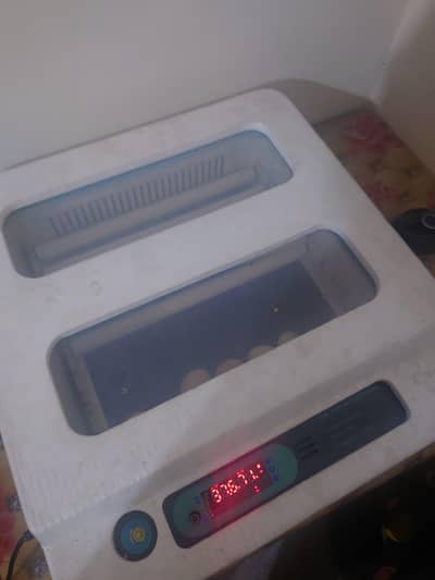 Fully Automatic 64 eggs Capacity Incubator for sale
