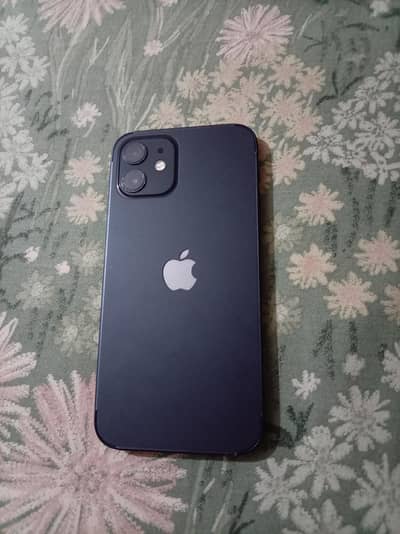 iphone 12 (4 month Sim Time)