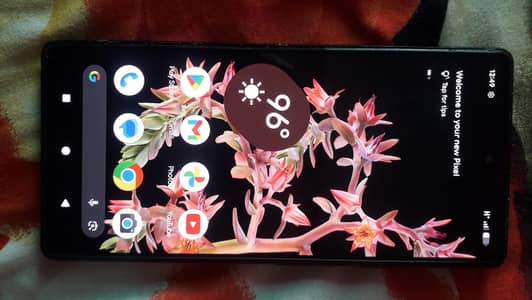 google pixel 6 urgent sale
