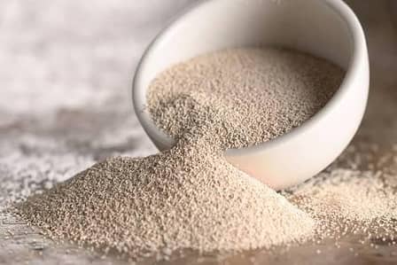 dry yeast