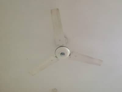 Ceiling Fan For Sale