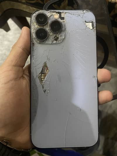IPhone 13 Pro Max (Back break)