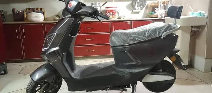 any Details WhatsApp