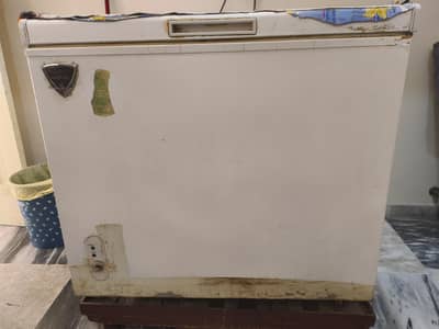 Waves Cool Bank Freezer Single Door Hime used only .