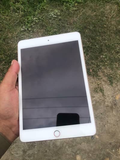 ipad Mani 5 64 10by 10  55k only