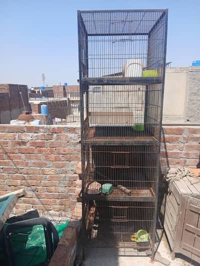Iron Bird cage