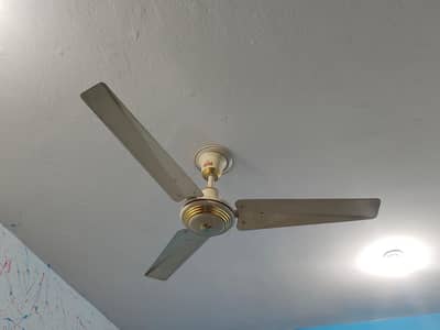 original Indus fan