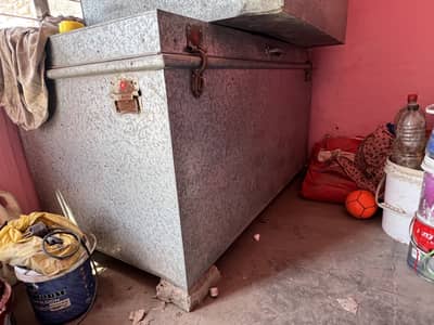 Paitee Iron , Trunk , paytee