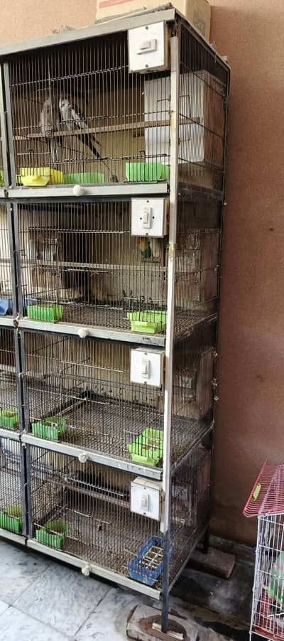 8 portion cage with all necessary and birds