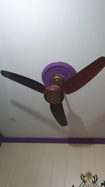 celing fan