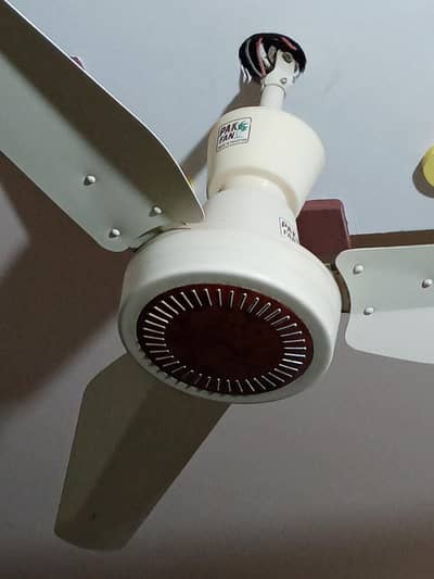 CEILING FANS FOR SALE