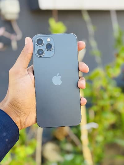 iPhone 12 Pro Max F U