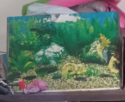 used aquarium