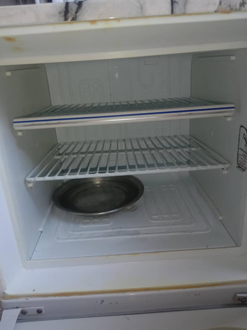 bilkul working condition 1