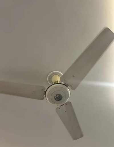 Pak Fans - Heavy Weight 100% copper wiring