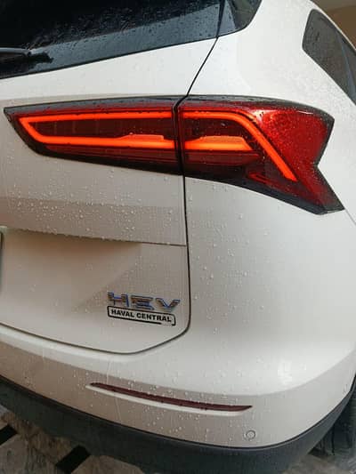 Haval H6 HEV (More cars are also avaliable)