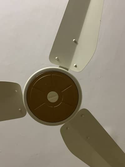02 Nos. Excellent condition" Lahore Fans" available for sale