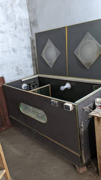 Premium Ayam Cemani Hens for Sale + Complete Setup (Serious Buyers Onl