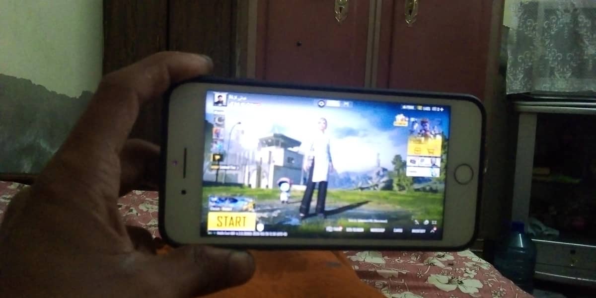 7plus nonpta 03195899179 0